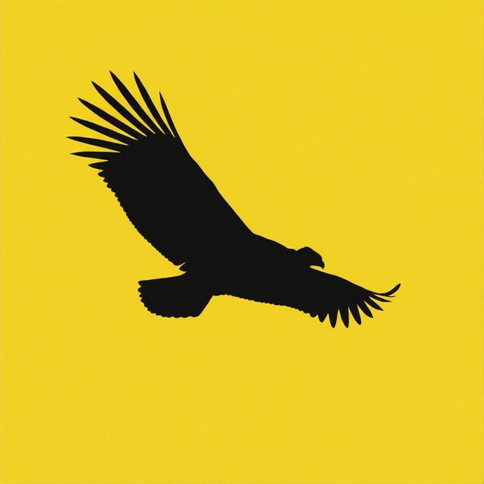 Hispano Services logo